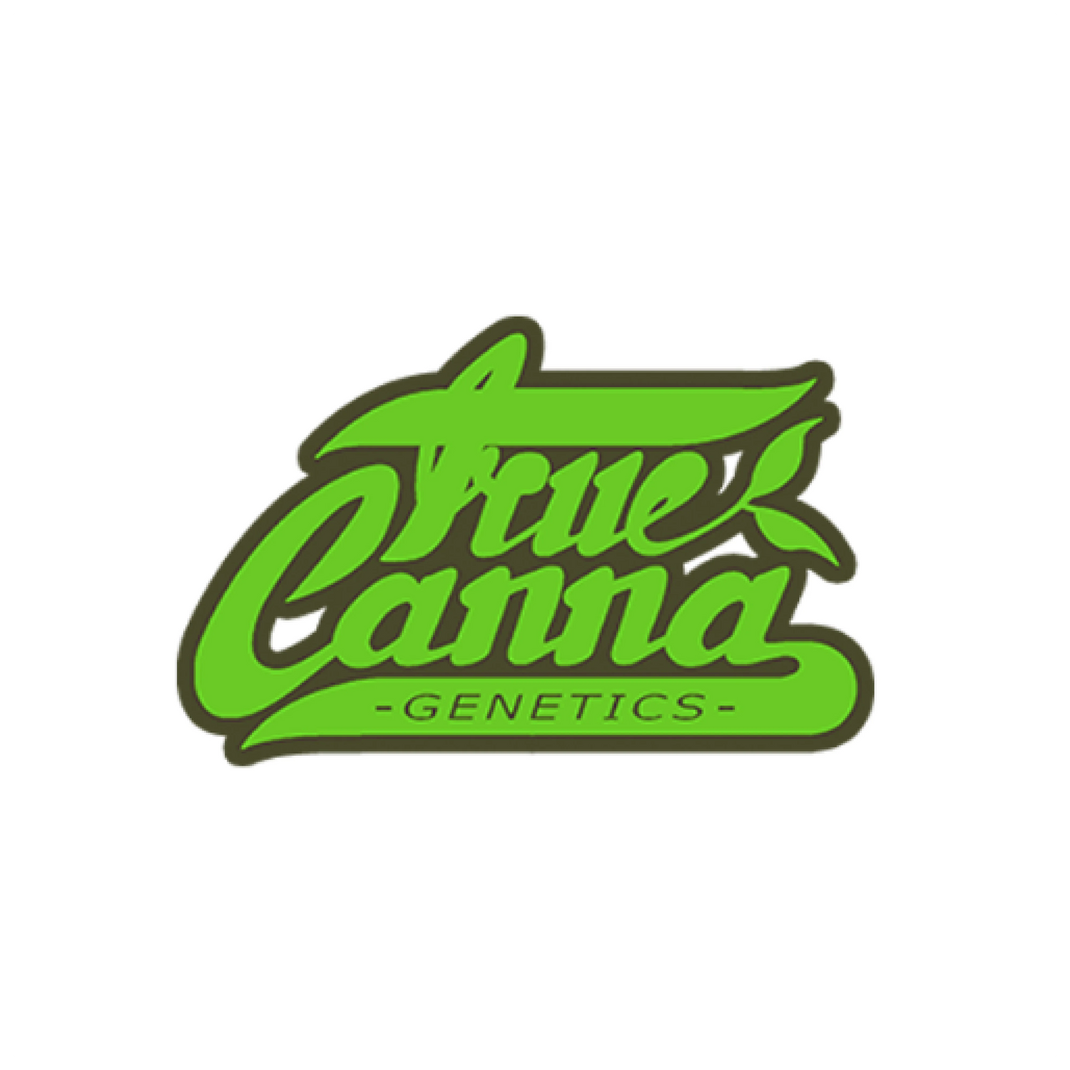 True Canna Genetics