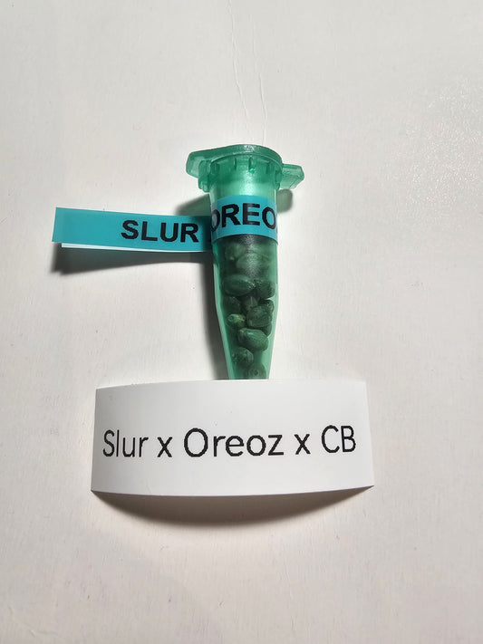 Slurmints x Oreoz  x Cactus Breath