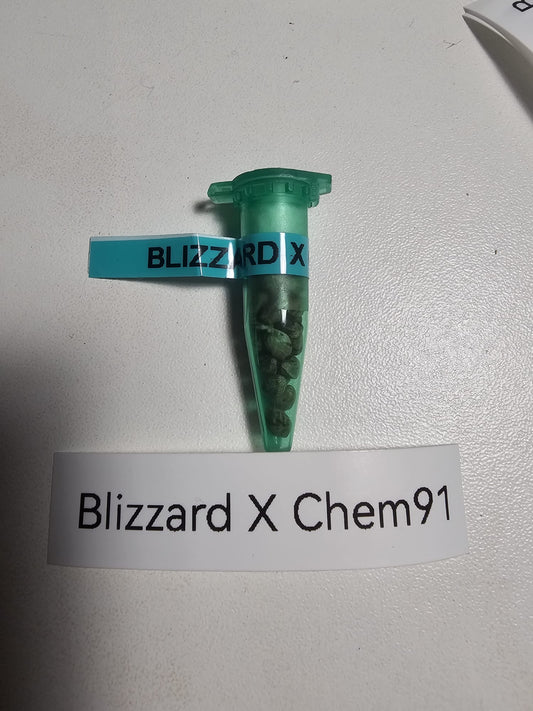 Blizzard of OZ x Chem91