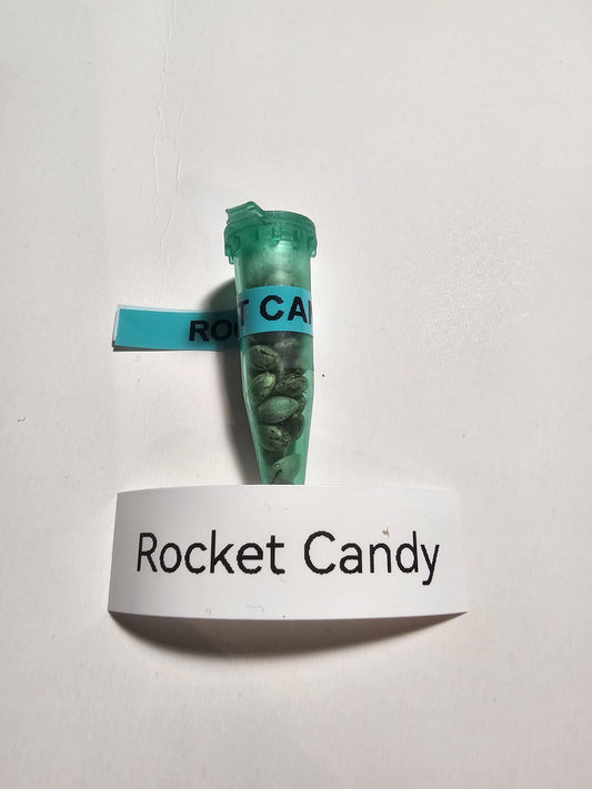 Rocket Candy