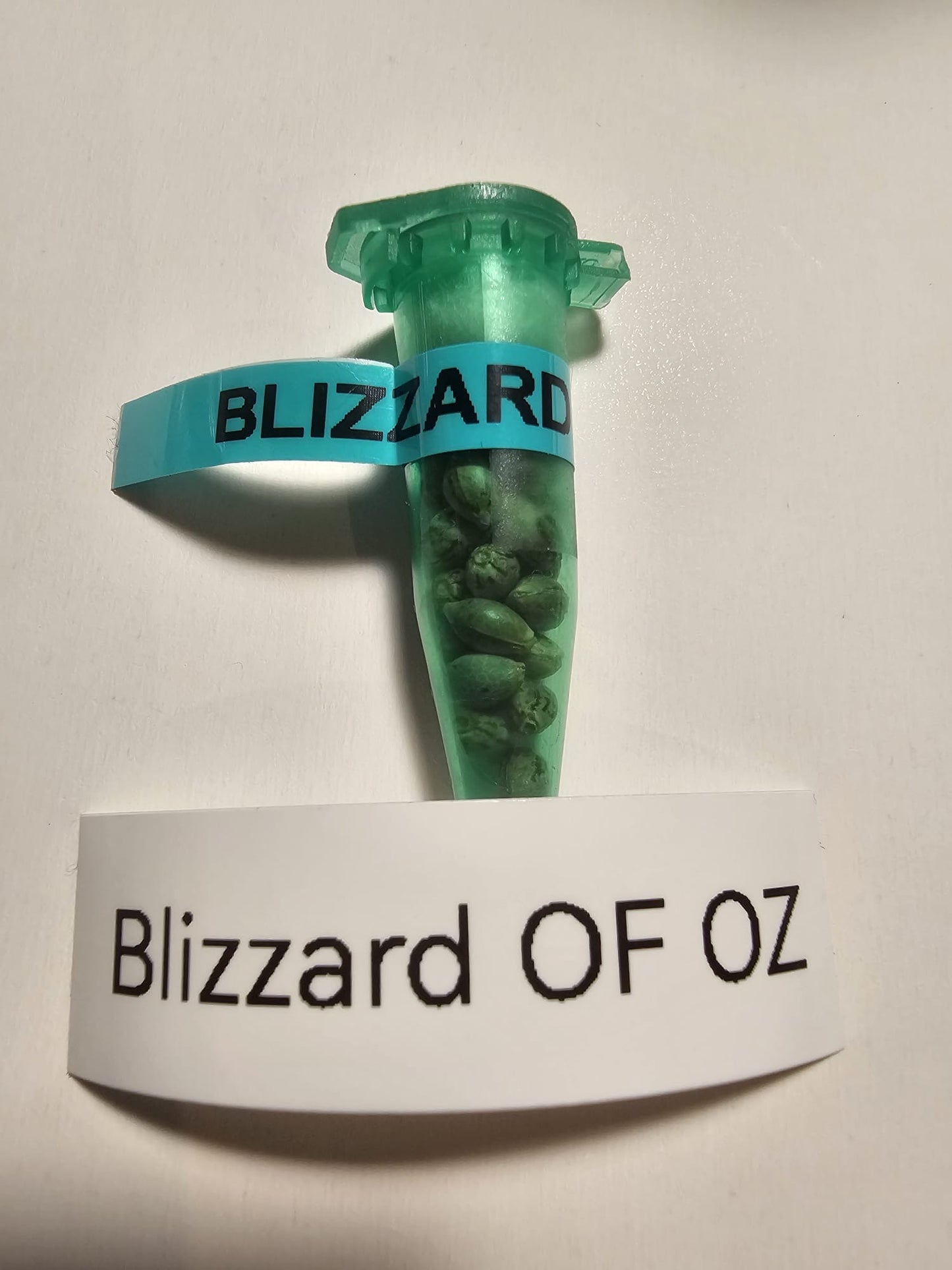 Blizzard Of Oz